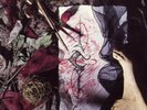 Dark Tranquillity - The Mind's I Red Vinyl LP In Flames