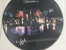 Metallica S&M Picture Vinyl