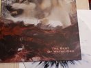 Unida / Dozer Split LP