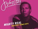 New Mighty Real: Greatest Dance Hits - Sylvester - Dance Vinyl