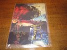 Siouxsie and the Banshees very rare 1987 programme