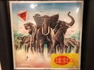 Elvis Costello - Armed Forces, Original Jem Records Import, Sealed, Mint