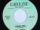 Doo Wop R&B 45 AMBERS Loving Tree GREEZIE HEAR VG+