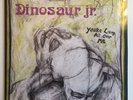 Dinosaur Jr. - You're Living All Over Me - SST Records ?– SST 130 - Vinyl - MINT