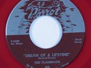Doo Wop R&B 45 FLAMINGOS Dream Of A Lifetime PARROT HEAR red wax