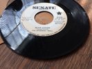 1967 PSYCH GARAGE ROCK THE BASEMENT WALL 
