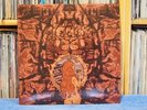 Electric Moon - Lunatics Revenge org. black vinyl pressing with Insert