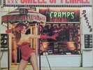 The Cramps - Smell of Female - Enigma US mini LP 12