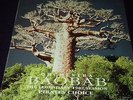 Orchestra Baobab - Pirate's Choce The Legendary 1982 Session (LP Ex. Vinyl)