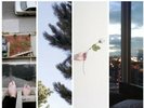 Counterparts - Difference Between Hell & Home [New Vinyl]