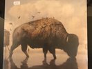 Silverstein - This Is How The Wind Shifts (Purple Vinyl LP Record)