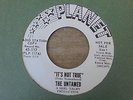 The Untamed - It's Not True 1965 USA 45 PLANET DJ/PROMO MOD/FREAKBEAT