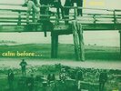 RISING STORM, The - Calm Before - Vinyl (LP)