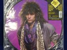 LP - Bon Jovi - Slippery When Wet (Metal) Limited Edit. Picture Disc