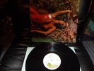 ROXY MUSIC BRYAN FERRY LP STRANDED UK ISLAND ILPS 9252 PINK RIM EX/EX A3/B1
