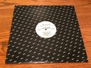 LYNYRD SKYNYRD PROMOTIONAL 12-INCH GEORGIA PEACHES - RARE    1987