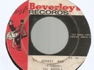 THE MAYTALS - MONKEY MAN / DAY AND NIGHT         7
