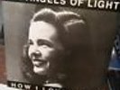 The Angels Of Light ?– How I Loved You Double 2 Lp OOP Rare  Gira