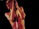 Punk: (LOT) Iggy Pop & the Stooges 