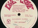 Pad Anthony - Dangerous System UK Live And Love 12