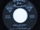 Northern Soul 45 E.J. & THE ECHOES Treat Me Right DIAMOND JIM HEAR