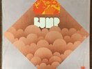 BUMP Self Title Detroit Michigan pioneer Psych Rock 1970 LP Original RARE SHRINK