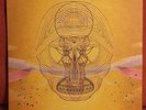 DEVENDRA BANHART What Will We Be 2xLP 2009 Warner Bros.