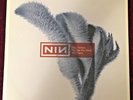 NINE INCH NAILS - The Day the World Went Away 12
