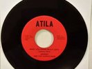 Johnny and the Hurricanes What You Know About Love / Yes Its You 45 Rare Garage
