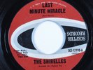 Northern Soul 45 SHIRELLES Last Minute Miracle SCEPTER HEAR