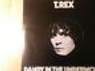 T Rex Dandy In The Underworld 1977 VINYL LP 1ST PRESSING PLAYS PERFECTLY