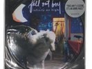Fall Out Boy Infinity On High 12 inch vinyl LP record picture disc Pic W/Sleeve