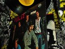 RARE 1968 PROMO = THE PULSE = ON POISON RING = HARD HEAVY ACID BLUES FUZZ PSYCH
