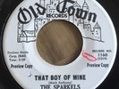 The Sparkels - That Boy of Mine/Try Love - RARE Northern Soul Girl Group 45 WLP