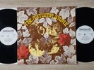 Small Faces: The Autumn Stone   Vintage Vinyl LP   German Made   EX/VG+   Psych