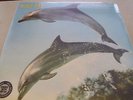 Orange Juice - You Can´t Hide Your Love Forever - LP 180g Vinyl