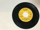 ROCKABILLY 45 RPM RECORD - ROD WILLIS - CHIC 45-1010