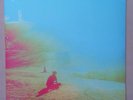 LP:  THE FLAMING LIPS - The Terror NEW SEALED 2xLP Ltd SILVER Wax/VINYL Rare