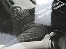 Marianne Faithfull - Come My Way - *NEAR MINT* UK 1965 1st Press MONO Decca LP