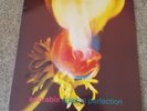 Adorable - Against Perfection LP Vinyl Album Original 1993