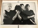 U2 official vintage 1981 promo photo - RARE
