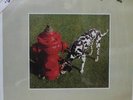 RUSH -SIGNALS- MEXICAN LP STILL SEALED PROGRESSIVE ROCK
