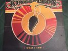 Kings Of Leon - What I Saw - Blue 10