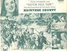 JONI JAMES--PICTURE SLEEVE ONLY--(RAINTREE COUNTY)---PS--PIC--SLV