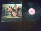 The Flamin Groovies 