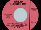 70s Funk/Deep Soul 45 - Allison - It's Hell - Ansap - VG+ mp3 - obscure