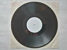 BLONDIE Blondie UK Private Stock LP test pressing in white die cut sleeve