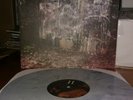 La Dispute - Wildlife VINYL (mewithoutyou, listener, touche amore, defeater)