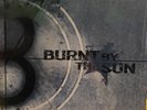 BURNT BY THE SUN Soundtrack To The Personal Revolution Blue Vinyl 2002 VG+ LP