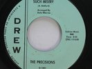 Hear  Northern Soul 45 The Precisions - Such Misery / A Lover'S Plea On Drew